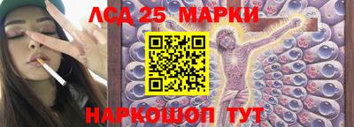 тгк Новозыбков