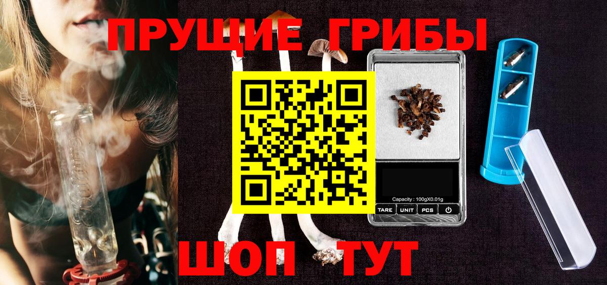 Черногорск  Галлюциногенные грибы мухоморы  Вход с VPN 