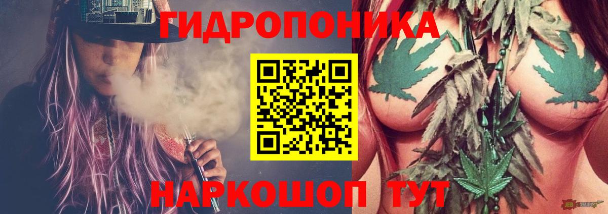 Шишки марихуана VHQ  Бошки Шишки SATIVA & INDICA  Черногорск  Вход с VPN 